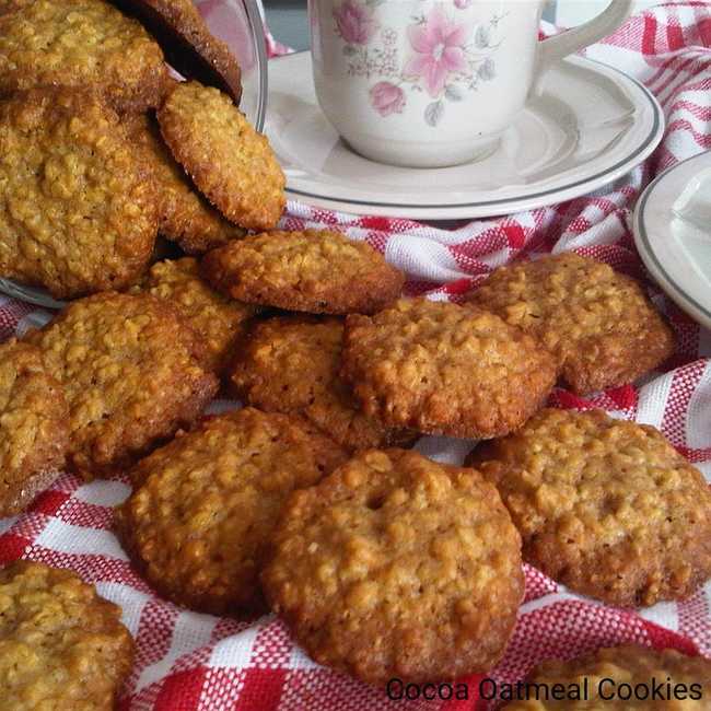 Cocoa Oatmeal Cookies