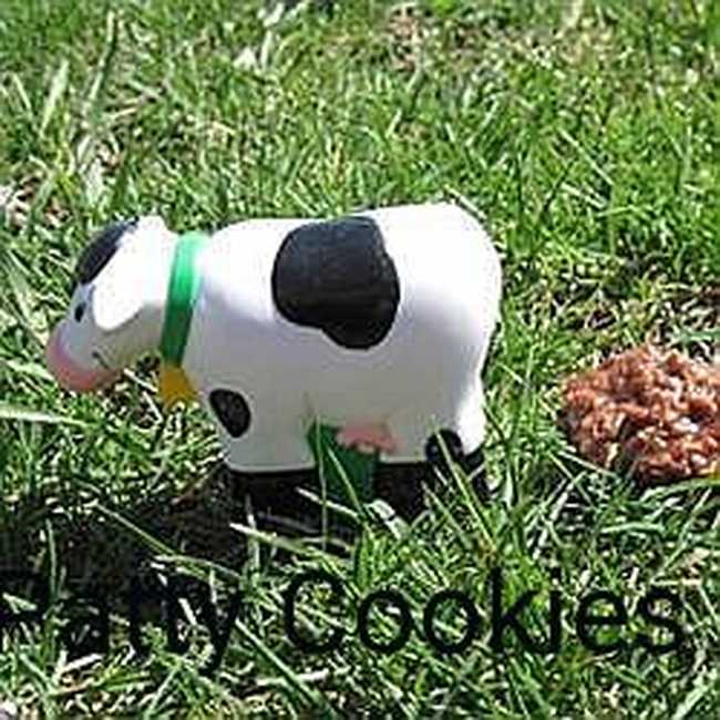 Cow Patty Cookies