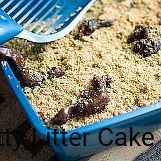 Kitty Litter Cake