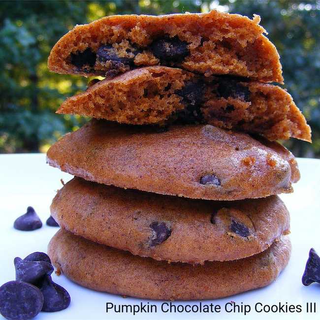Pumpkin Chocolate Chip Cookies III