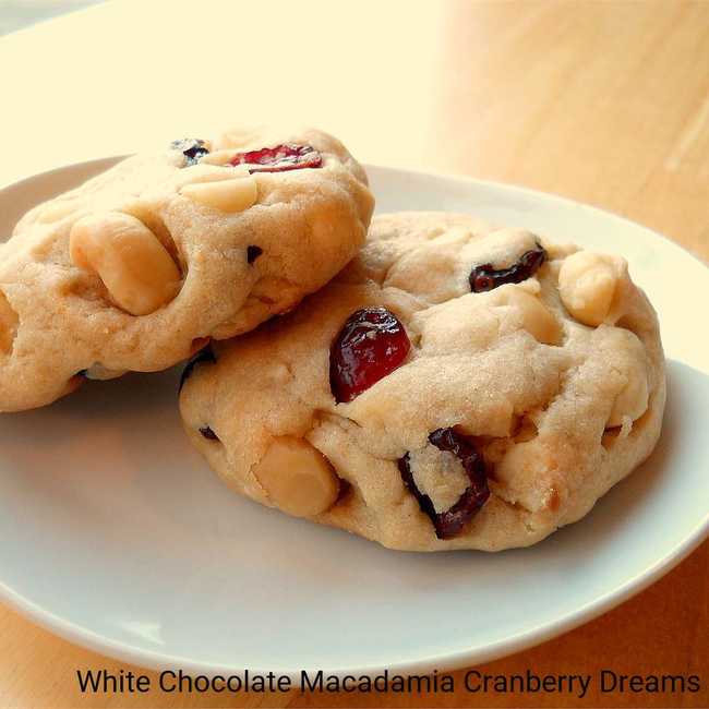 White Chocolate Macadamia Cranberry Dreams