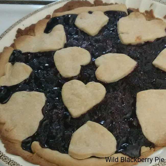 Wild Blackberry Pie