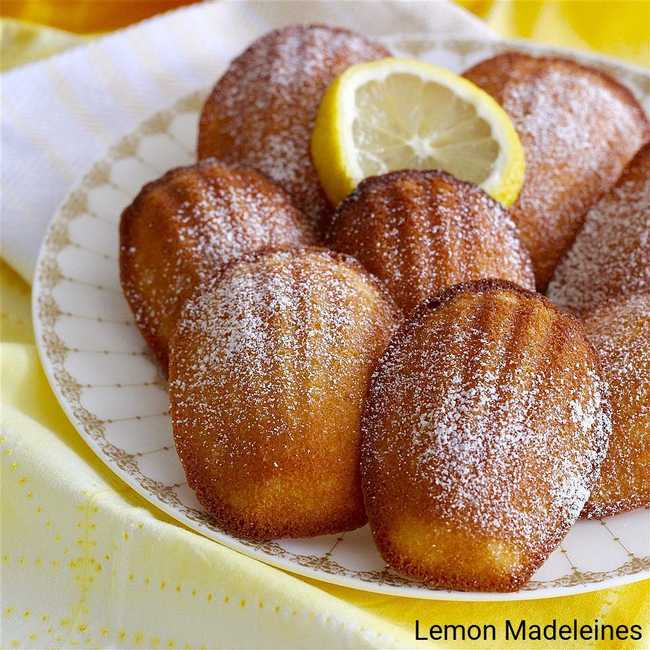 Lemon Madeleines