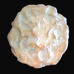 Creamy And Dreamy Pumpkin Meringue Pie